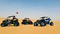 Buggy Ride 30 minutes Desert Safari in Dubai with Dinner & Shows