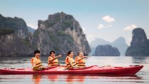 Discover a Secret Day Cruise Bai Tu Long Bay Off the Beaten Path