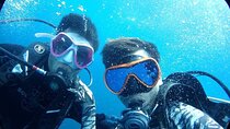 One Day Scuba Diving Experience at Ko Racha 