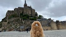 Private Guided Mont Saint Michel & D-day tour from Paris