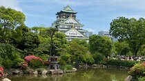 Allure of Osaka Walking Day Tour with a local guide 