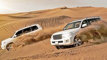 Dubai Desert Red Dune Half-Day Safari Adventure and BBQ Dinner