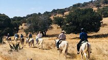 Horseback Riding through Mexican Haciendas 