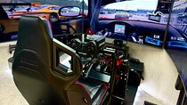 Professional racing simulator
