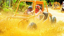Adventure in Punta Cana Buggy or ATV Dunes & Unforgettable Safari