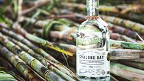 Chalong Bay Rum Distillery Experience