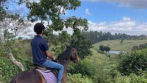 Nairobi Horseback Experience at Kitusuru Dam