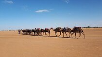  3 Days Tour From Marrakech to Sahara Desert