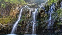 8 Hour Private Jungle Waterfall Tour from Maui