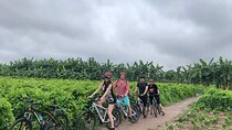Half-Day Hanoi Bicycle Tour Combine City and Countryside 
