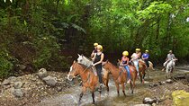 Rainforest Horseback Riding and Boat. Puntarenas Shore Excursion