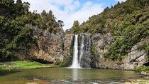 Private Guided Auckland Waterfalls Tour