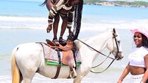 Horseback Riding Experience in Punta Cana 