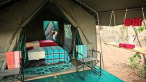 Luxury en suite Camping 3 Days 2 Nights Chobe Park