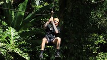 Combine World B+ Zipline Adventure at Hanuman World