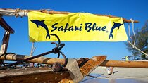 Safari Blue, Full Day Adventure with Lunch & Transfer - Zanzibar