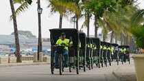 Private Electric Pedicabs Tour in Zanzibar