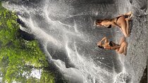 Ubud Top Waterfall Surounding with Rice Terrace All Include