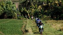 Bali Dirt Bike Motor Cross Include Transport