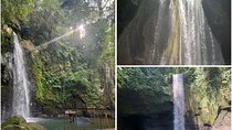 Ubud Nature Waterfall Tour