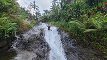 Lemukih Hidden Trekking Waterslide Sekumpul and Fiji Waterfall