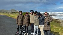 Cape Peninsula E-bike Cycle with Vehicle - Private Tour