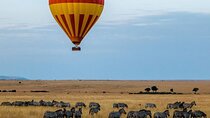  5Day Wild Heart Masai Mara, Nakuru and Naivasha Tour 