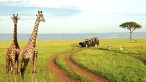 Half Day Tala Game Reserve and Durban City Tour