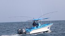 Full Day Sportfishing Charter Inshore or Offshore