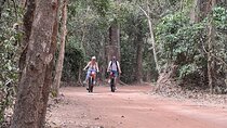 Private Angkor Wat Biking Tour at Sunrise