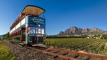 Franschhoek Wine Tram Experience