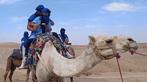 Camel Ride and Quad Tour in Marrakech 