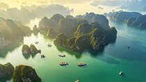 Halong Bay Cruises many options