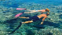 Tiran Island snorkeling trip, Lunch, Transfer - Sharm El Sheikh