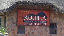 Private Big 5 Safari at Aquila – Tickets, Lunch & Transfers
