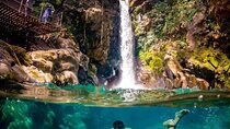 Private Tour to Oropendola Waterfall and Hot Springs with Lunch