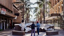 Johannesburg City Centre Walking Tour