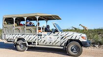 7 Day Best of Northern Namibia Safari incl. Etosha from Windhoek