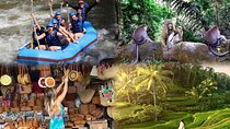 Full day ubud trip Bali Rafting and Ubud Tour
