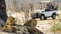 Zambezi National Park Game Drive