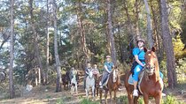 Horse Riding Tour at Taurus Mountains with Roundtrip Transfer