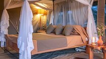 4 Day Amboseli and Tsavo Safari with Lodging