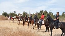 Horse Riding One Hour in The Desert with Transfer /Hurghada