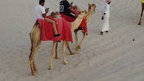 Private-Doha Horse Ride/Camel Ride/Quad Bike All Inclusive Tour