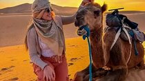 Camel Trekking & 1 Night in Merzouga Desert Camp