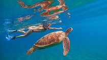 Marsa Mubarak Snorkeling Sea Trip & Transfer & Lunch :Marsa Alam