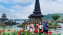 Private Tour in Ancient Temple Bali 