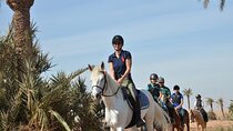 Horse Riding in Palmeraie Grove 2 hour ride & transfer- Marrakech