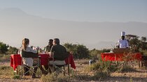 5 Days Amboseli Tour in Lake Naivasha and Masai Mara Safari