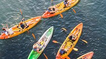 Kayak Rentals on Lady Bird Lake